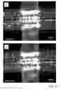 Fig. 15 - Microfluidic system and method for assembling and for subsequently cultivating, and subsequent analysis of complex cell arrangements