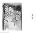 Fig. 19 - Turbo titanium coating technology for broad application