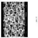 Fig. 25 - Turbo titanium coating technology for broad application