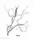 Fig. 07 - Pharmaceutical package