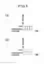Fig. 04 - TIG welding method and apparatus