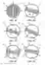 Fig. 02 - VAPOR FLOW LID
