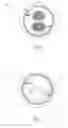 Fig. 03 - Lid for a beverage can