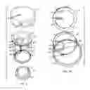 Fig. 03 - Device for singulating and dispensing rigid and semi-rigid strips