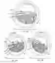 Fig. 08 - Device for singulating and dispensing rigid and semi-rigid strips