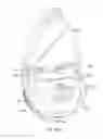 Fig. 72 - Attachment mechanism for a container