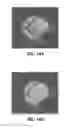 Fig. 13 - Infrared spatial modulator for scene-based non-uniformity image correction and systems and methods related thereto