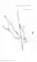 Fig. 05 - Air-to-air refueling drogue assemblies