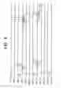 Fig. 05 - Imaging apparatus and processing method thereof