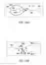 Fig. 34 - MINIMALLY INVASIVE CYTOMETRY SYSTEM USING QCL VIBRATIONAL SPECTROSCOPY FOR DIFFERENTIATION OF PLURIPOTENT STEM CELLS FROM FUNCTIONALLY DIFFERENTIATED CELLS BASED ON INSPECTION OF SINGLE CELLS