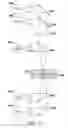 Fig. 37 - MINIMALLY INVASIVE CYTOMETRY SYSTEM USING QCL VIBRATIONAL SPECTROSCOPY FOR DIFFERENTIATION OF PLURIPOTENT STEM CELLS FROM FUNCTIONALLY DIFFERENTIATED CELLS BASED ON INSPECTION OF SINGLE CELLS