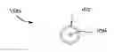 Fig. 01 - MESOFLUIDIC DIGITAL VALVE