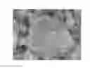 Fig. 01 - Crosslinking Initiator