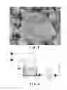 Fig. 02 - Crosslinking Initiator