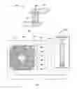 Fig. 01 - Enhanced electromigration resistance in TSV structure and design