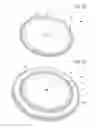 Fig. 06 - Complex pierced micromechanical part