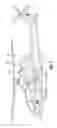 Fig. 02 - Free-floating gas seal