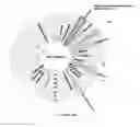 Fig. 25 - Method and apparatus for 3D display and analysis of disparate data