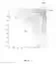 Fig. 34 - Apparatus and method for three-dimensional image capture with extended depth of field