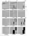 Fig. 01 - Method of compensating for turbulance when recording film sequences