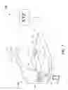 Fig. 08 - Video Magnification Device