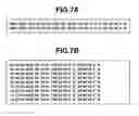 Fig. 08 - Imagine apparatus, information processing apparatus, imaging system and methods thereof for management of image data