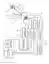 Fig. 09 - IMAGING AND PROJECTING DEVICES AND METHODS