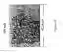 Fig. 06 - CYTOLOGICAL METHODS FOR DETECTING A CONDITION SUCH AS TRANSPLANT EFFICIENCY BY RAMAN SPECTROSCOPIC IMAGING