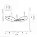 Fig. 09 - CYTOLOGICAL METHODS FOR DETECTING A CONDITION SUCH AS TRANSPLANT EFFICIENCY BY RAMAN SPECTROSCOPIC IMAGING