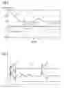 Fig. 04 - Method for echo processing in a pulse-echo ranging system