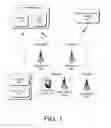 Fig. 02 - Network identification and display based on local information