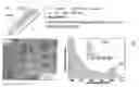 Fig. 01 - Fabrication of lasing microcavities consisting of highly luminescent colloidal nanocrystals
