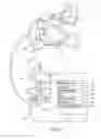 Fig. 03 - System and method to automatically assist mobile image acquisition