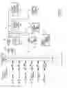 Fig. 02 - Recording identity data to enable on demand services in a communications system