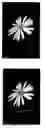 Fig. 01 - Image processing apparatus, image processing method, image processing program and recording medium