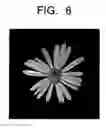 Fig. 09 - Image processing apparatus, image processing method, image processing program and recording medium