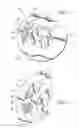 Fig. 02 - Shutter assembly