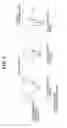 Fig. 03 - Image forming apparatus and image forming method of electrophotography