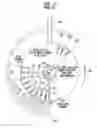 Fig. 08 - Apparatus and Method for Destroying an Encoder Wheel