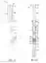 Fig. 02 - Reagent preparation and dispensing device and methods for the same