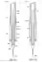 Fig. 64 - Reagent preparation and dispensing device and methods for the same