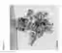Fig. 17 - Ce containing, V-free mobile denox catalyst