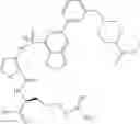 Fig. 33 - NP-1 Antagonists and Their Therapeutic Use