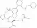 Fig. 46 - NP-1 Antagonists and Their Therapeutic Use