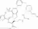 Fig. 82 - NP-1 Antagonists and Their Therapeutic Use