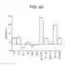 Fig. 14 - T. CRUZI-DERIVED NEUROTROPHIC AGENTS AND METHODS OF USE THEREFOR