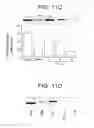 Fig. 20 - T. CRUZI-DERIVED NEUROTROPHIC AGENTS AND METHODS OF USE THEREFOR