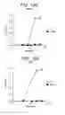 Fig. 22 - T. CRUZI-DERIVED NEUROTROPHIC AGENTS AND METHODS OF USE THEREFOR