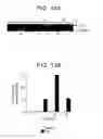 Fig. 23 - T. CRUZI-DERIVED NEUROTROPHIC AGENTS AND METHODS OF USE THEREFOR