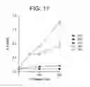 Fig. 28 - T. CRUZI-DERIVED NEUROTROPHIC AGENTS AND METHODS OF USE THEREFOR